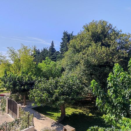 Mas Provencal Au Coeur Des Vergers Vallabregues Bagian luar foto